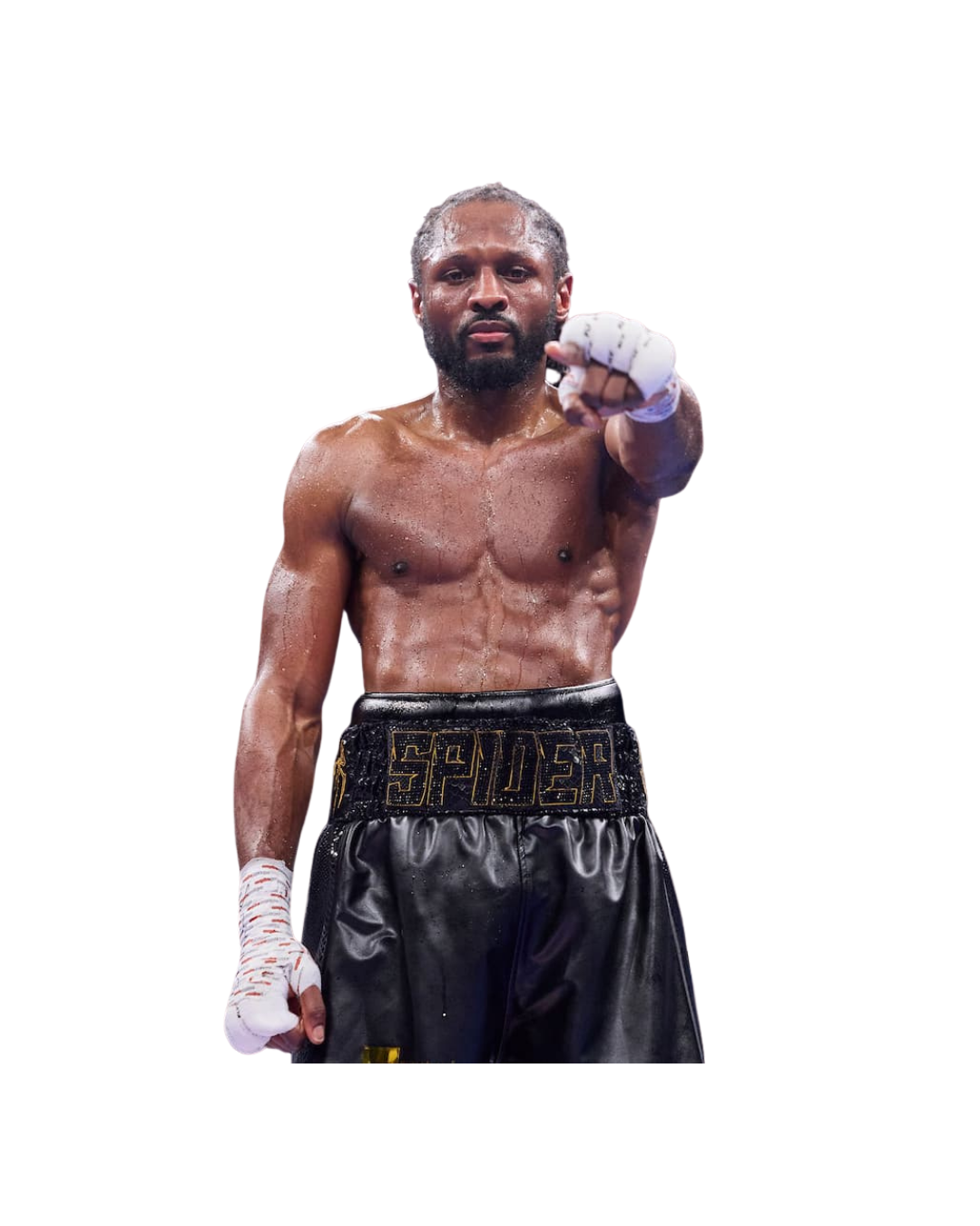 Craig Richards, Professional Boxing