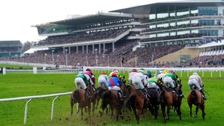 Horse Racing