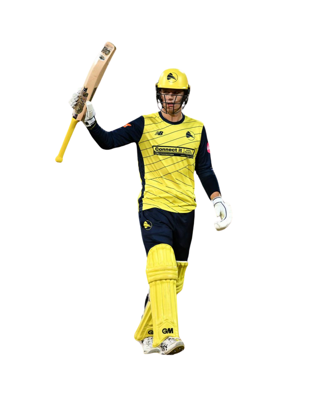 Toby Albert, Professional Cricket